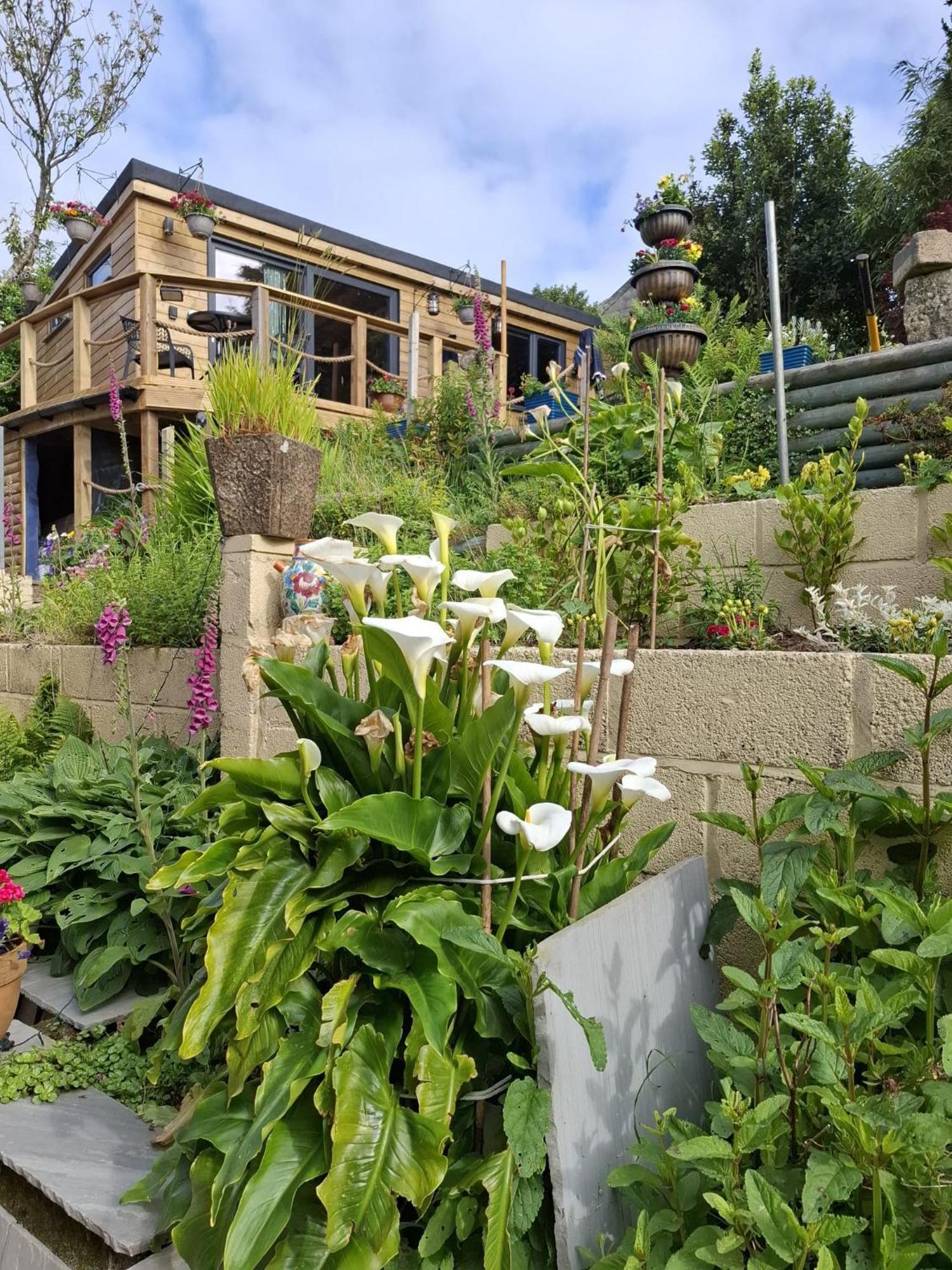Cosy Cornish Cabin St Austell Εξωτερικό φωτογραφία