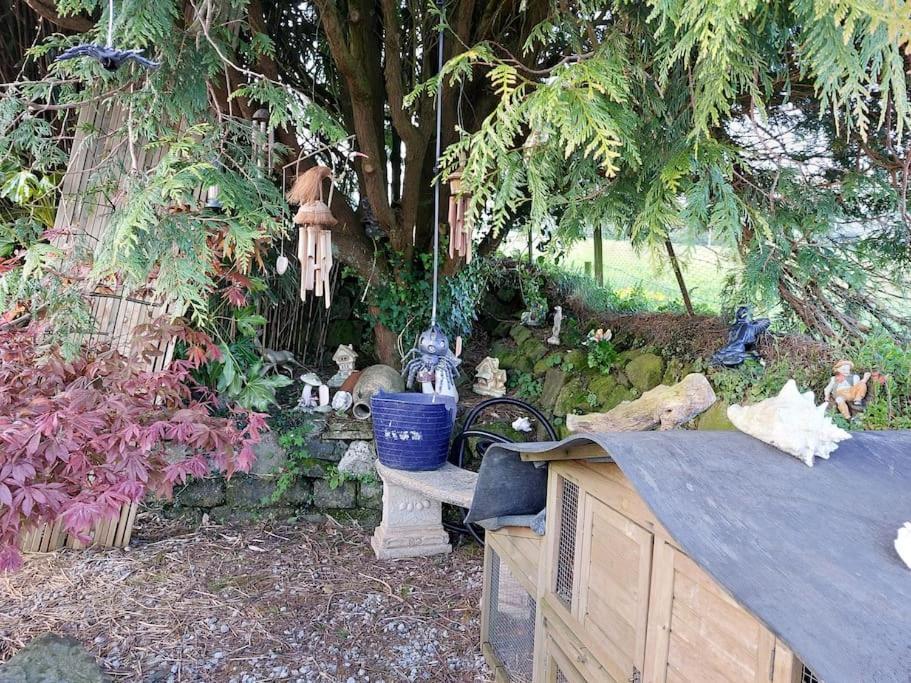 Cosy Cornish Cabin St Austell Εξωτερικό φωτογραφία