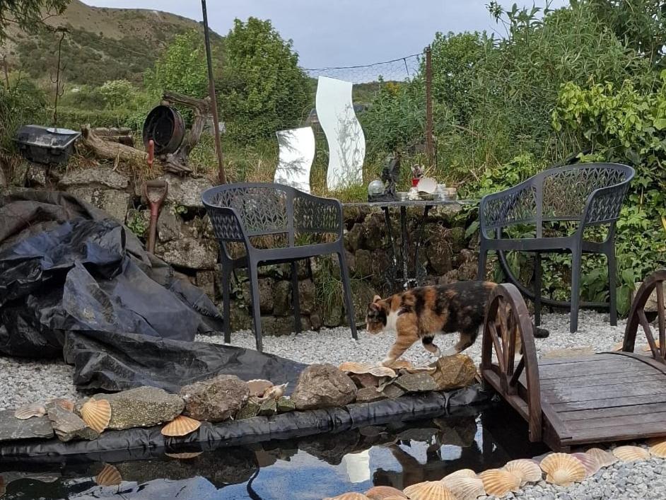 Cosy Cornish Cabin St Austell Εξωτερικό φωτογραφία