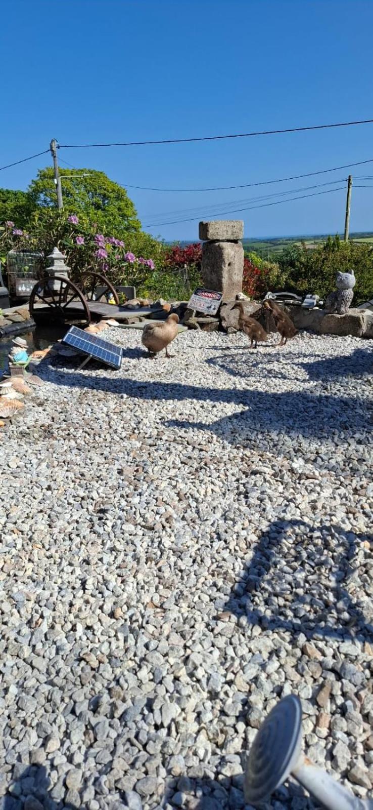 Cosy Cornish Cabin St Austell Εξωτερικό φωτογραφία